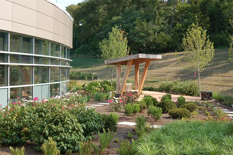 Healing Garden