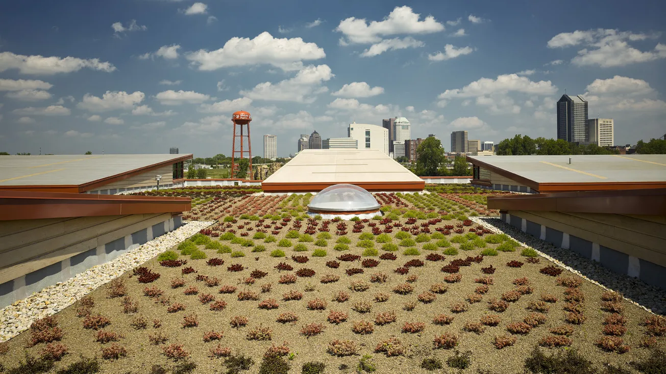 green roof