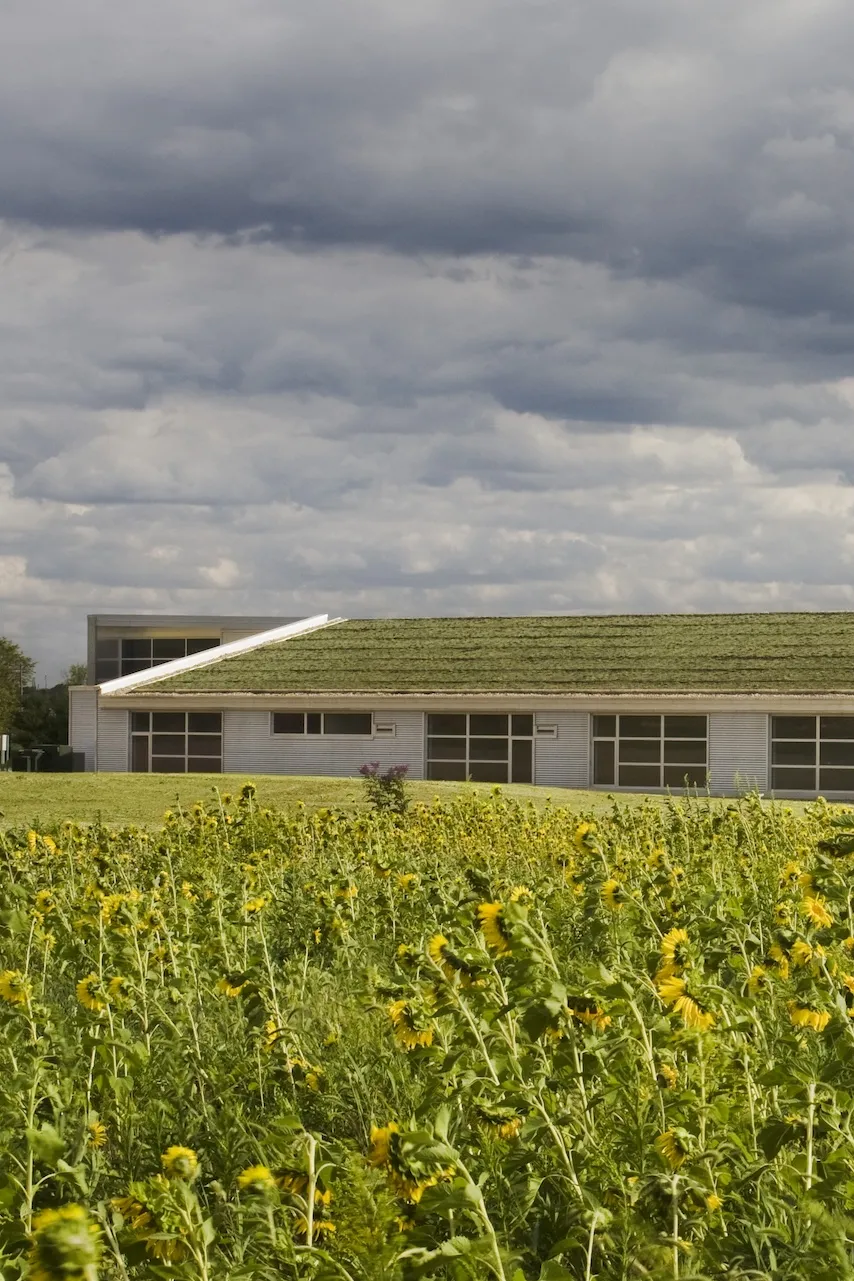 building outside